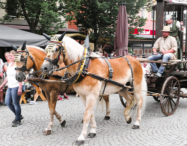 Michael Widmaier aus Renningen fuhr im letzten Jahr beim Festzug die Kutsche des Scharfrichters.